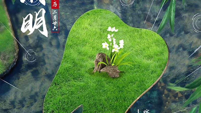 三甲医院作为我国医疗行业的标杆，具有以下优势：